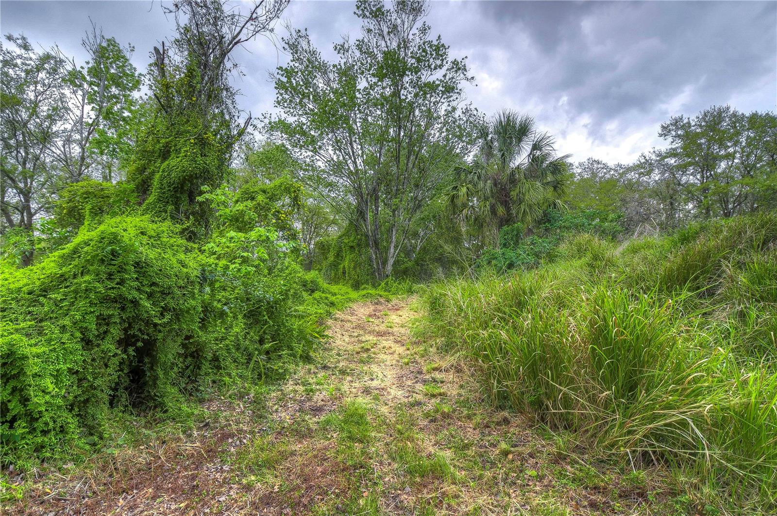 11645 S COUNTY ROAD 39, LITHIA, FL, 33547