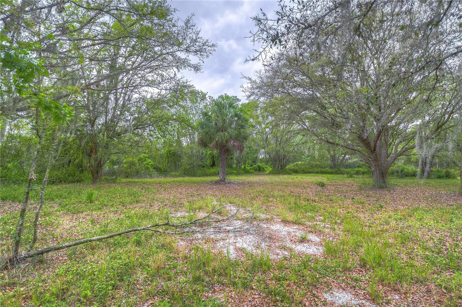 11645 S COUNTY ROAD 39, LITHIA, FL, 33547