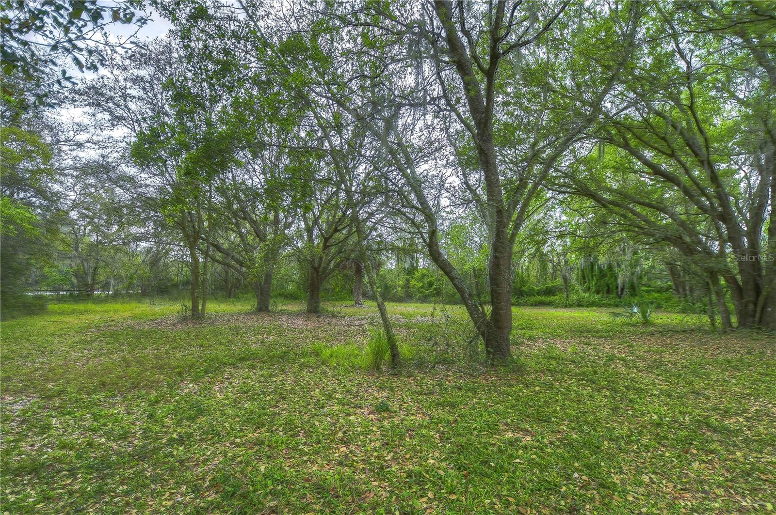 11645 S COUNTY ROAD 39, LITHIA, FL, 33547