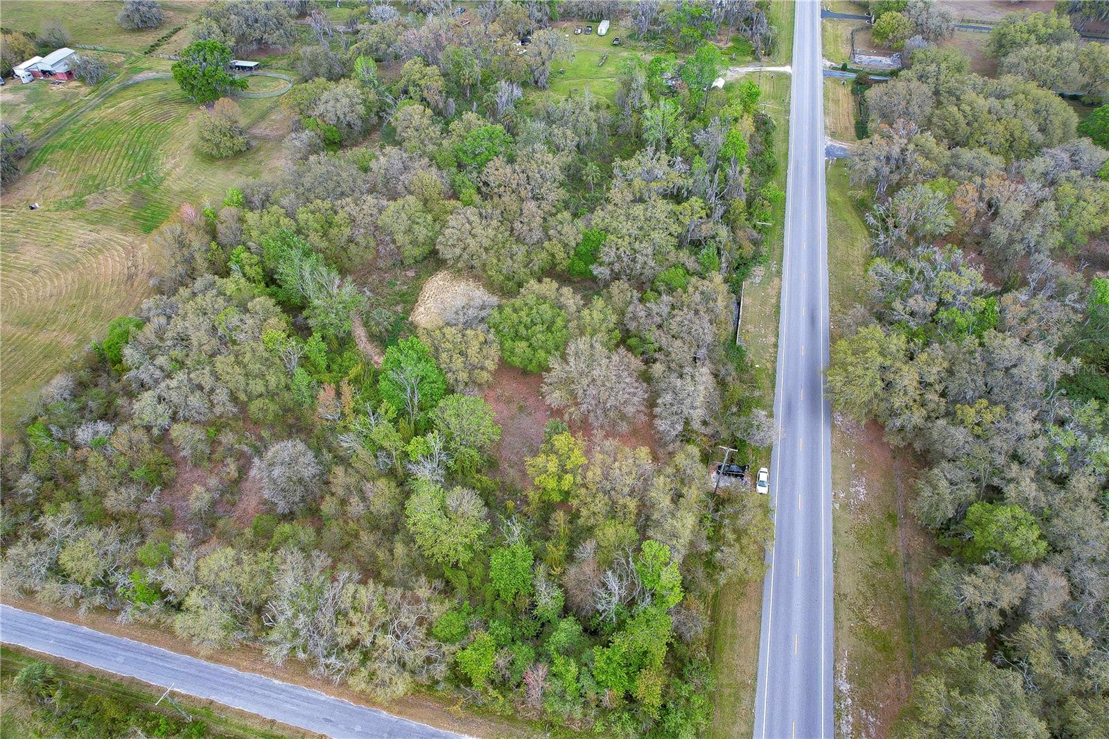 11645 S COUNTY ROAD 39, LITHIA, FL, 33547