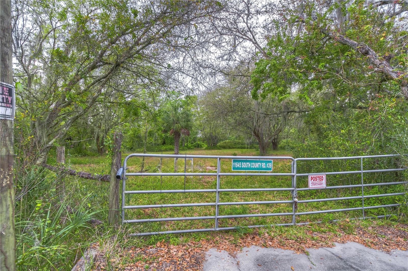 11645 S COUNTY ROAD 39, LITHIA, FL, 33547