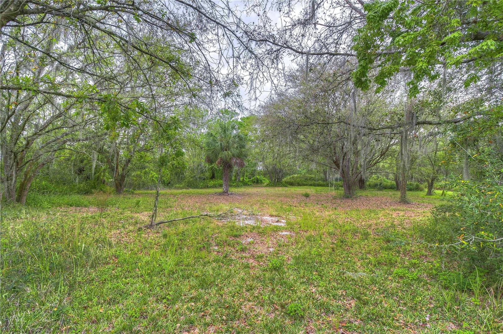 11645 S COUNTY ROAD 39, LITHIA, FL, 33547