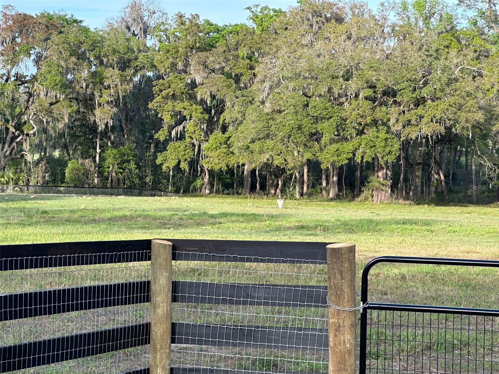 5201 W HIGHWAY 329, REDDICK, FL, 32686