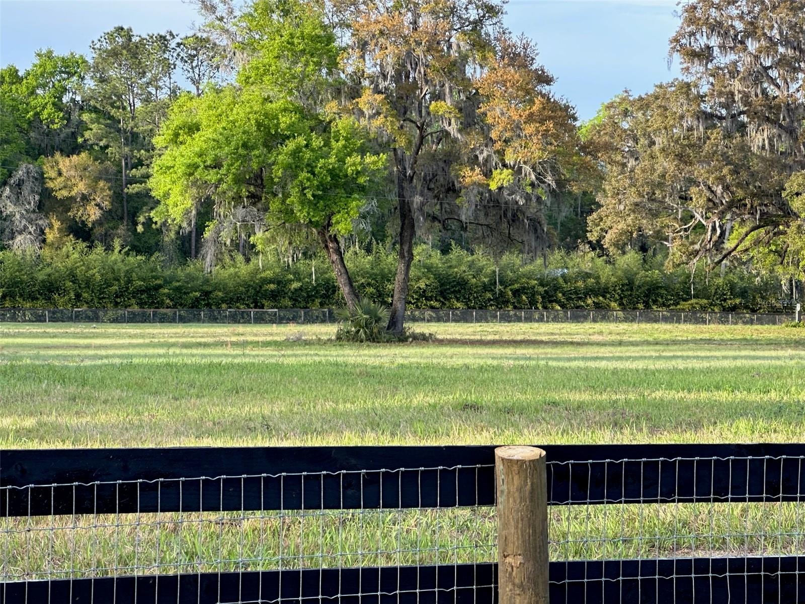 5201 W HIGHWAY 329, REDDICK, FL, 32686