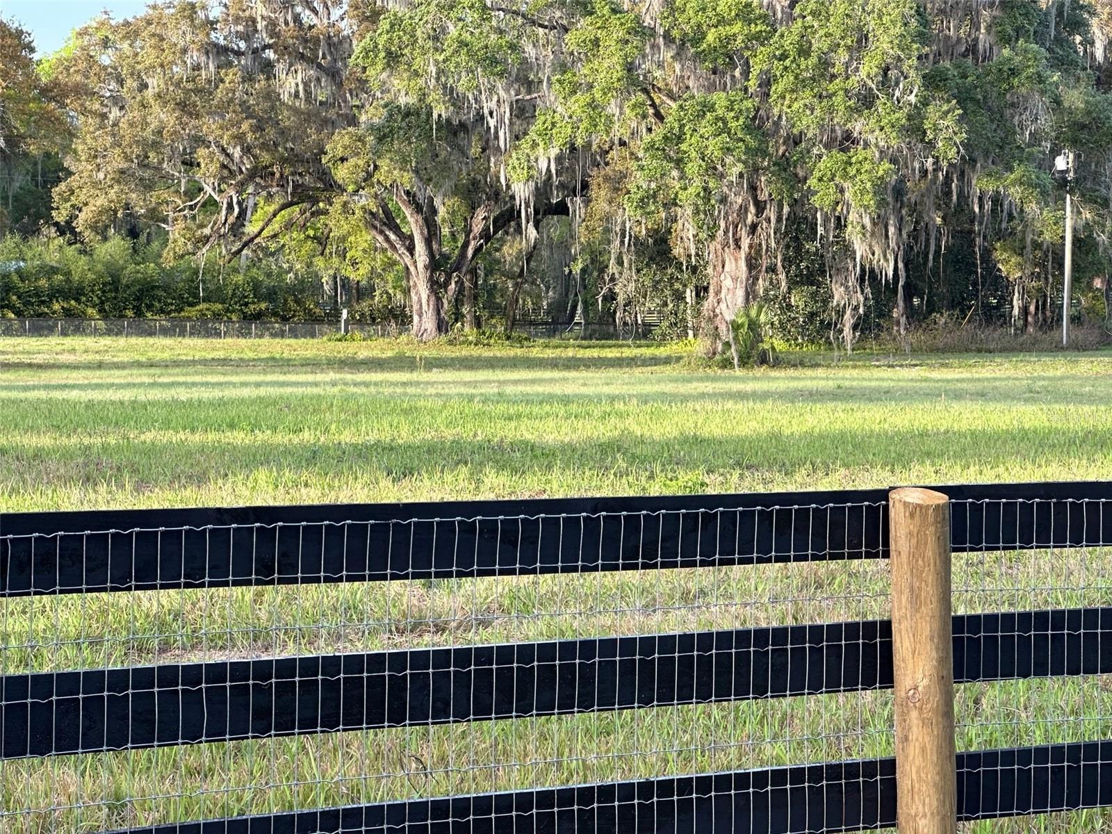 5201 W HIGHWAY 329, REDDICK, FL, 32686