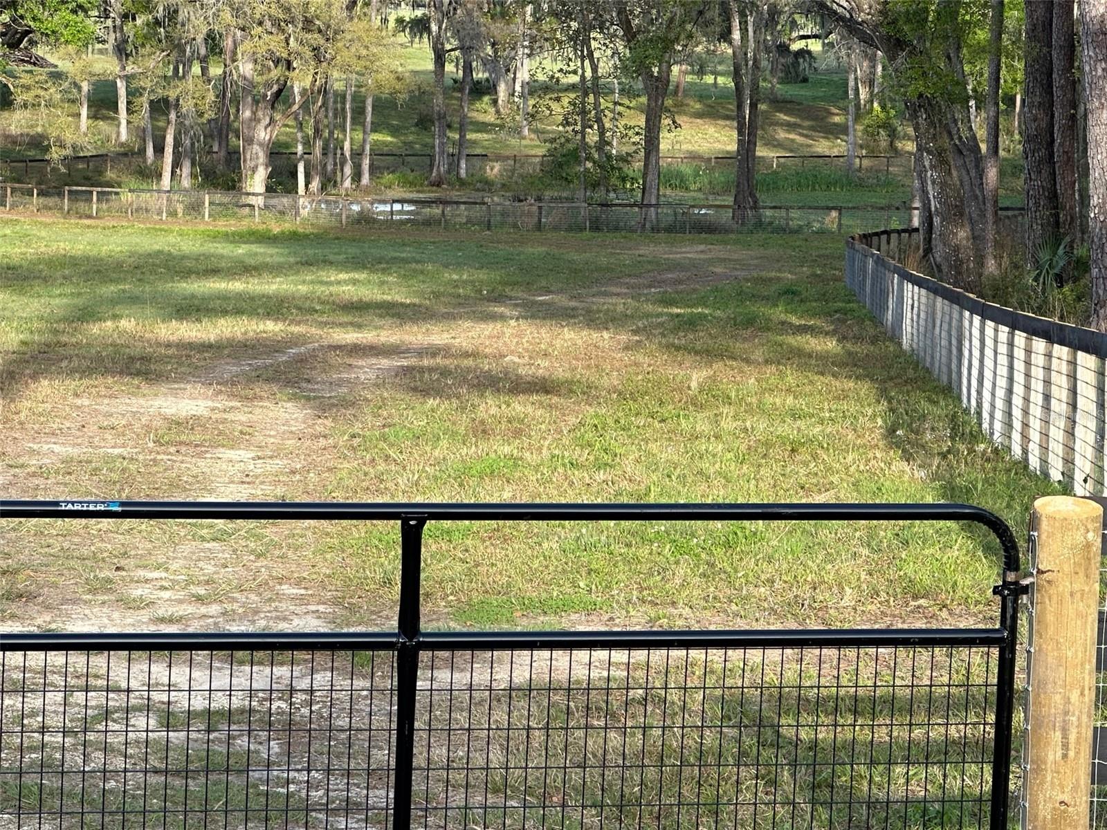 5201 W HIGHWAY 329, REDDICK, FL, 32686