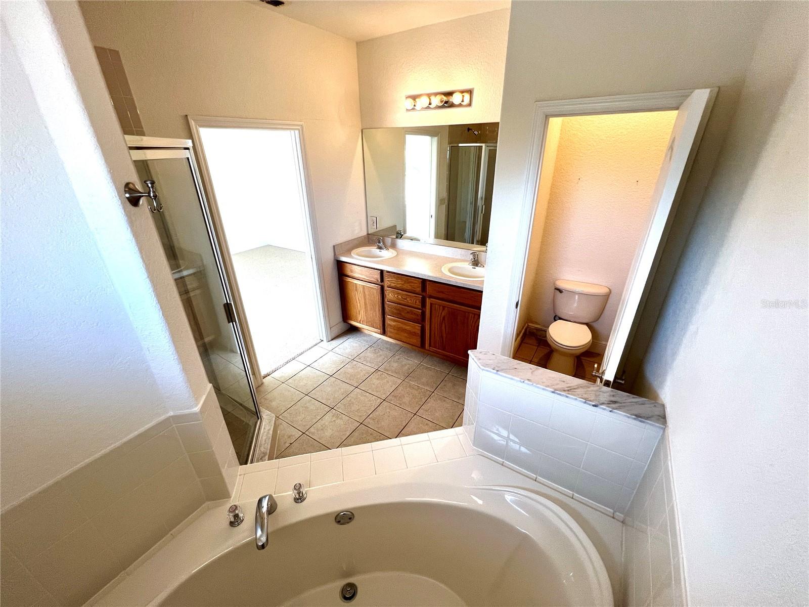 13308 FOUNTAINBLEAU DR, CLERMONT, FL, 34711