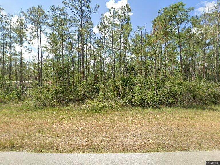 226/228 WOODBURN DR, LEHIGH ACRES, FL, 33972