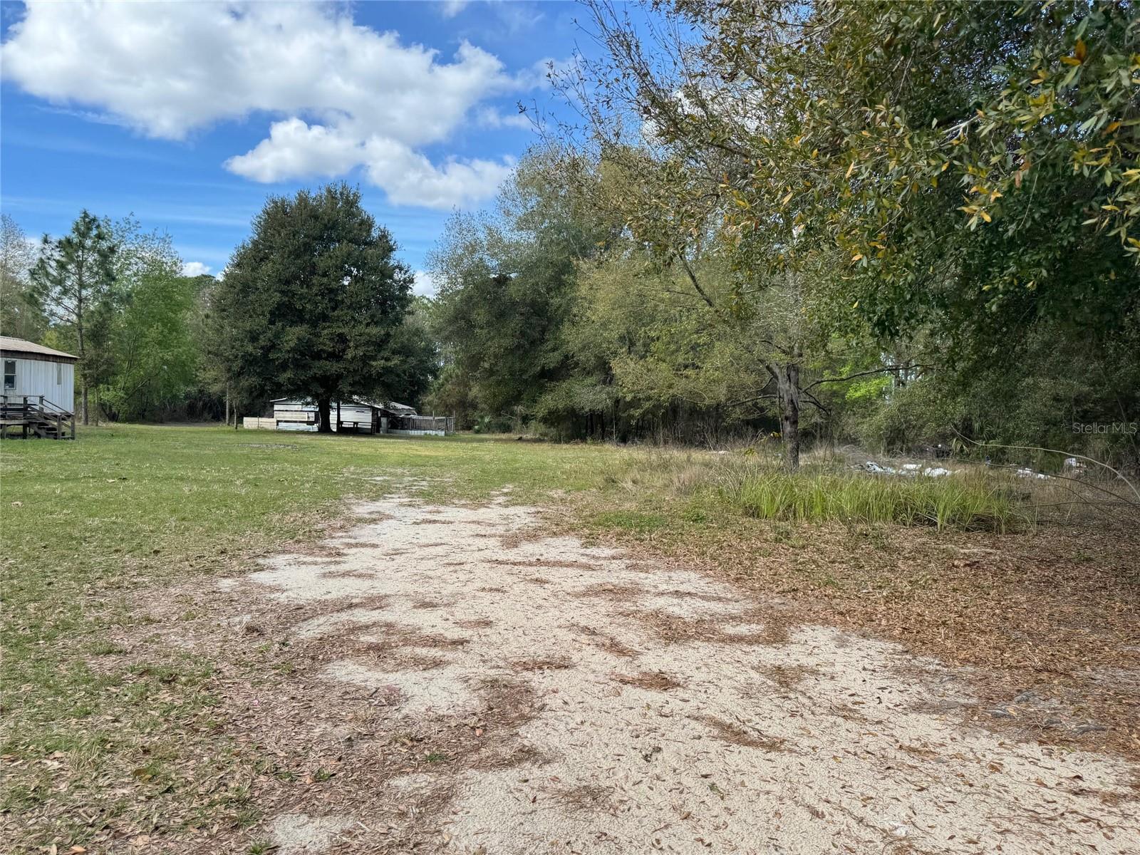 11810 SE HWY 464, OCKLAWAHA, FL, 32179