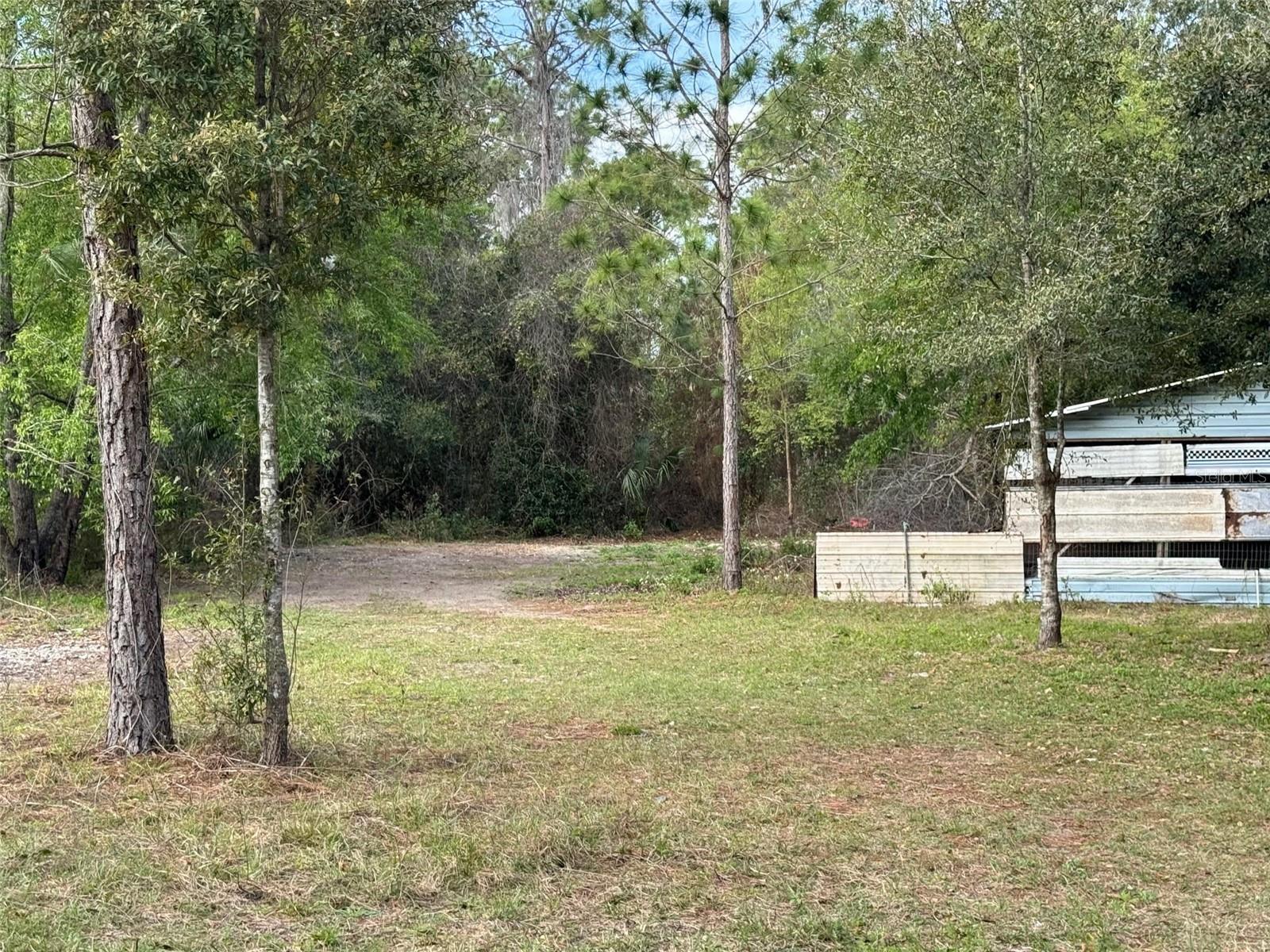11810 SE HWY 464, OCKLAWAHA, FL, 32179