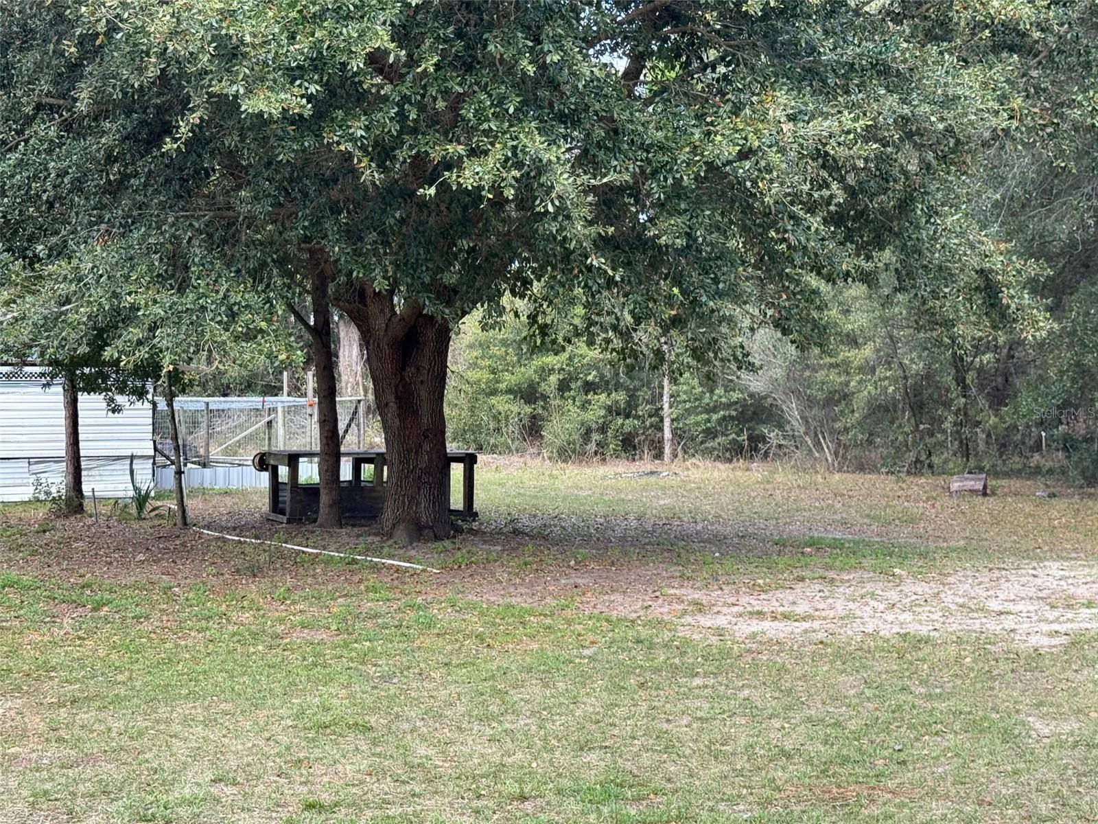 11810 SE HWY 464, OCKLAWAHA, FL, 32179