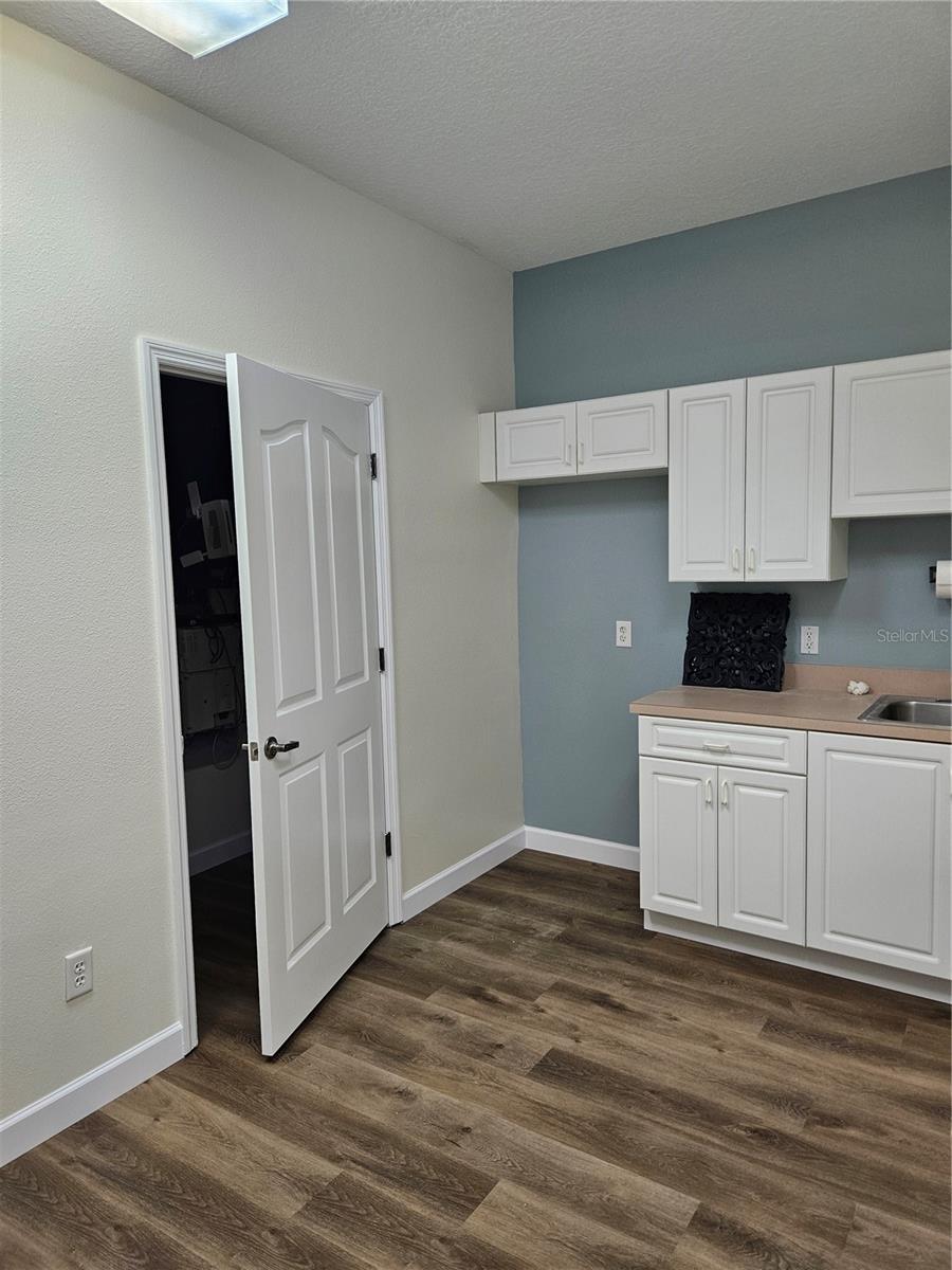 10011 WATER WORKS LN, RIVERVIEW, FL, 33578