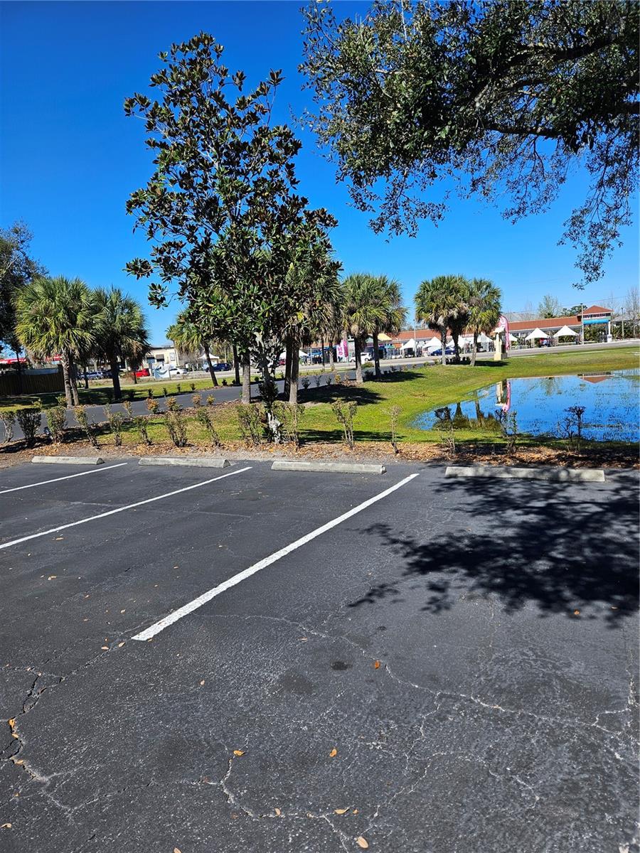 10011 WATER WORKS LN, RIVERVIEW, FL, 33578