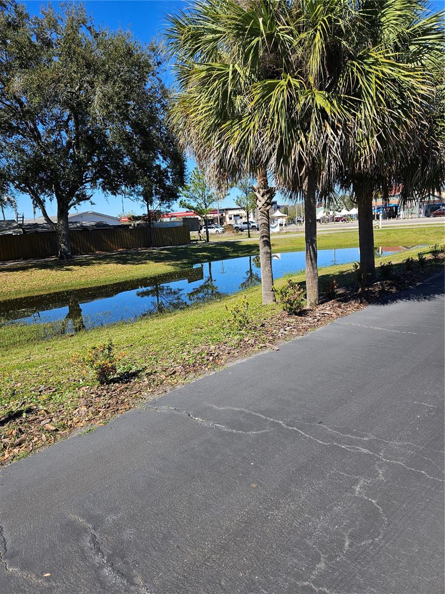 10011 WATER WORKS LN, RIVERVIEW, FL, 33578