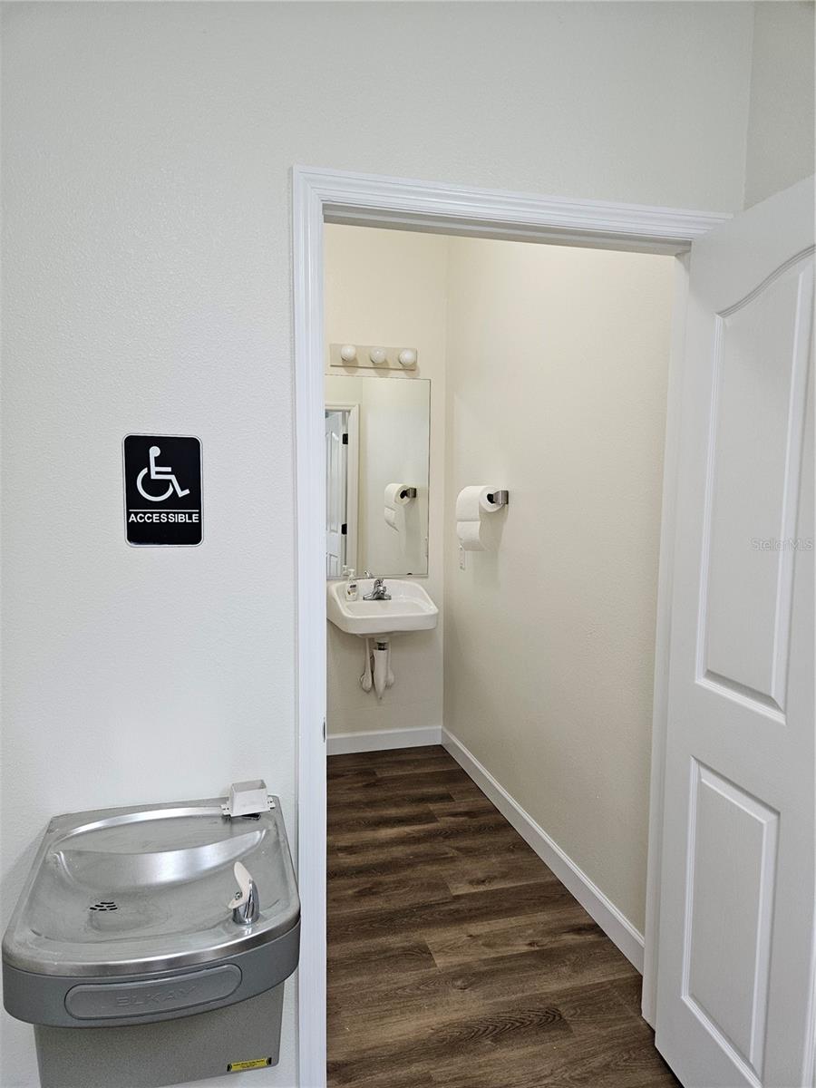 10011 WATER WORKS LN, RIVERVIEW, FL, 33578