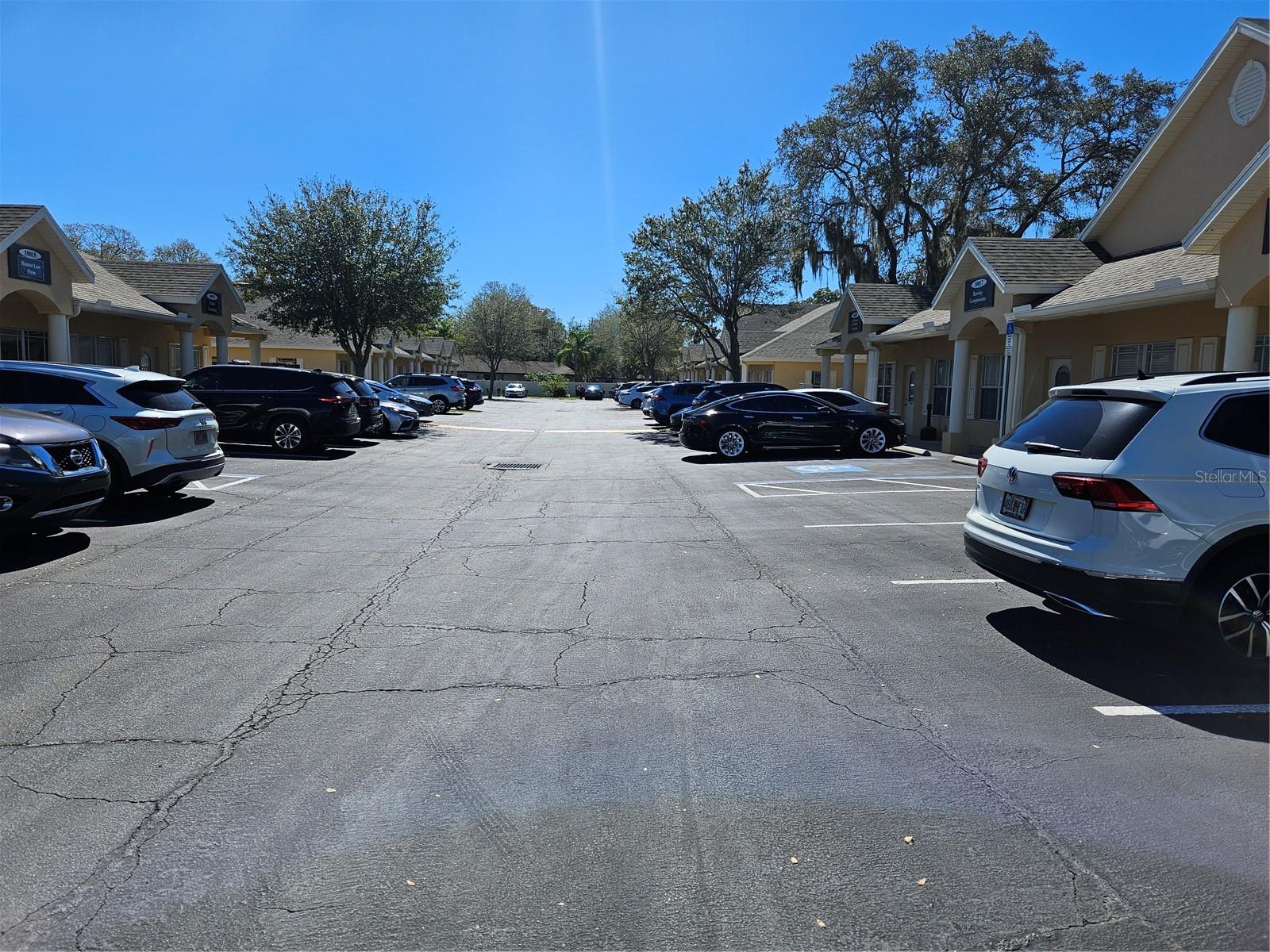 10011 WATER WORKS LN, RIVERVIEW, FL, 33578
