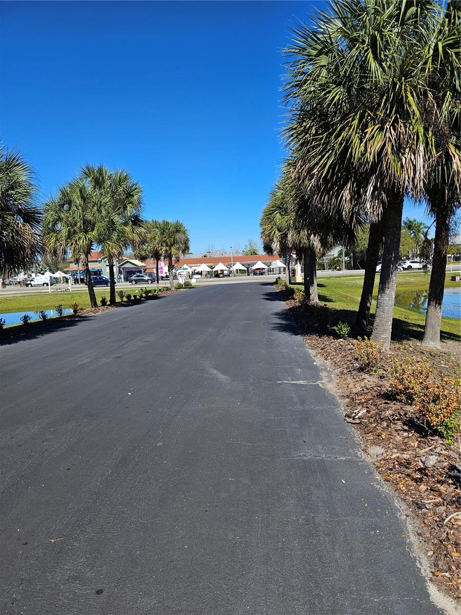 10011 WATER WORKS LN, RIVERVIEW, FL, 33578