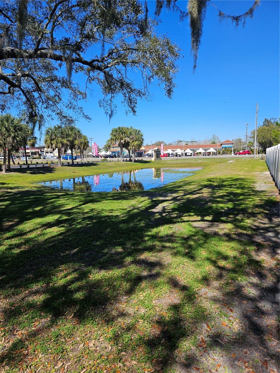 10011 WATER WORKS LN, RIVERVIEW, FL, 33578