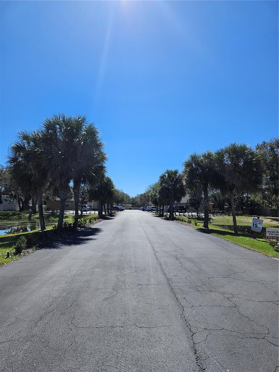 10011 WATER WORKS LN, RIVERVIEW, FL, 33578