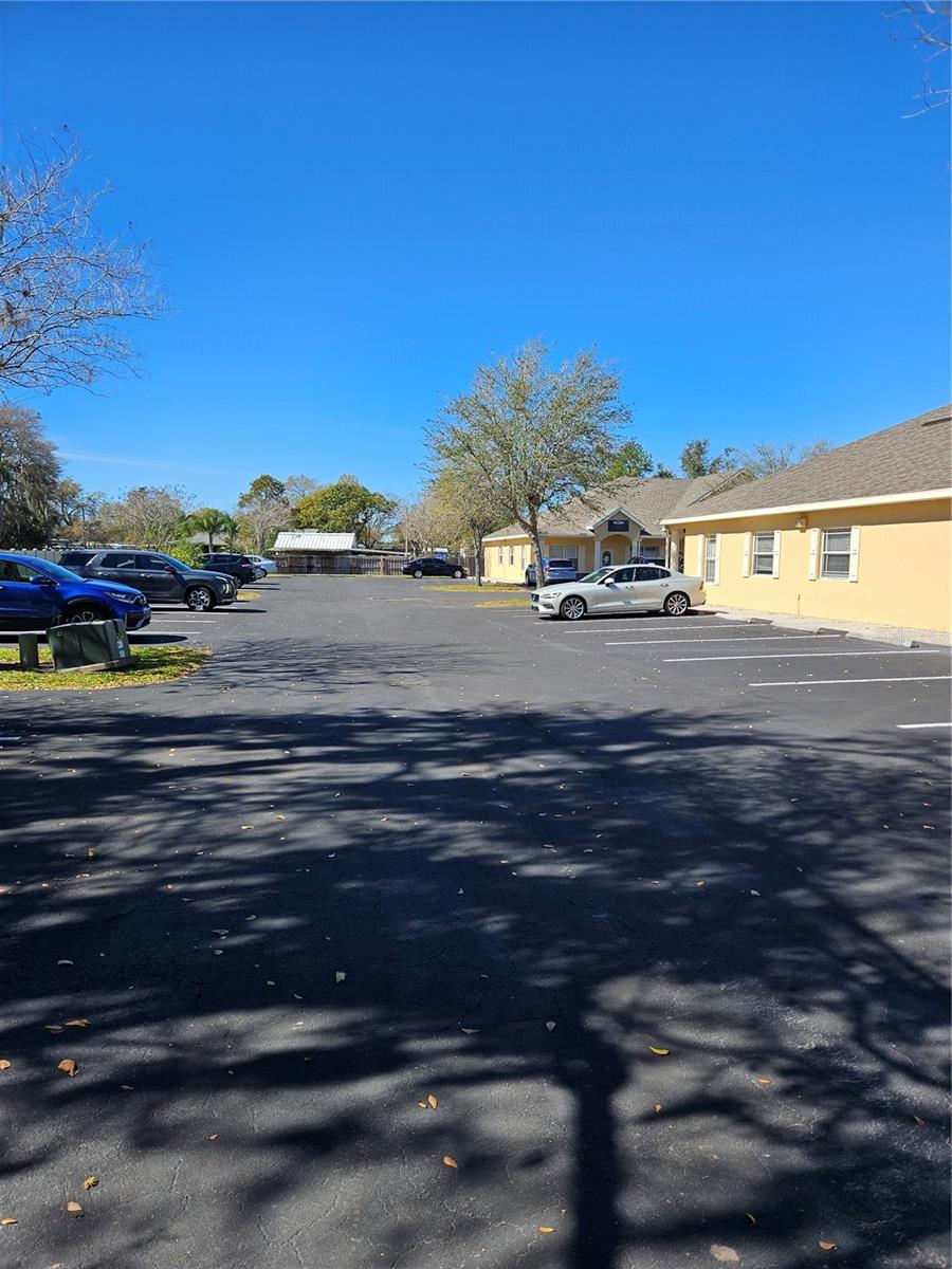 10011 WATER WORKS LN, RIVERVIEW, FL, 33578