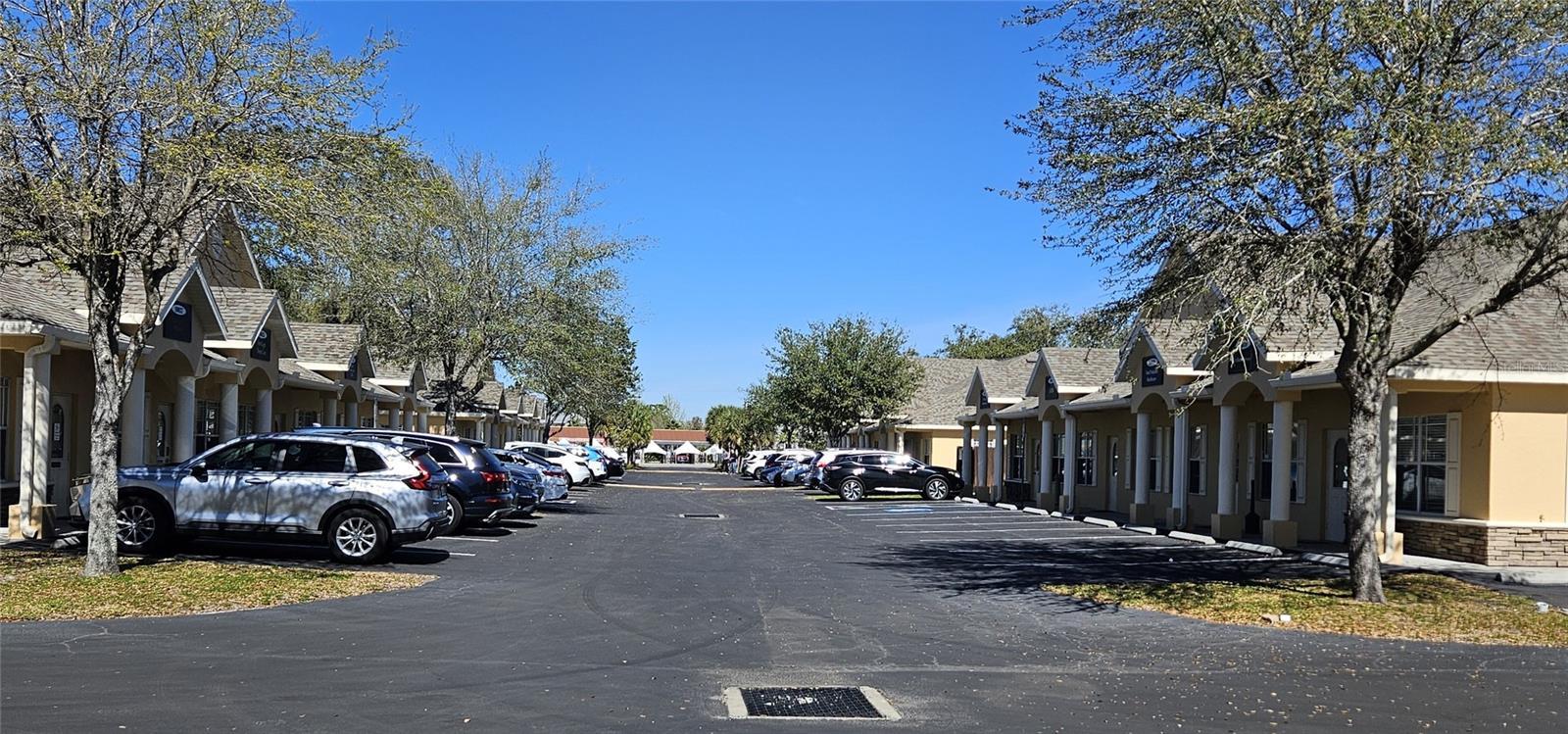 10011 WATER WORKS LN, RIVERVIEW, FL, 33578