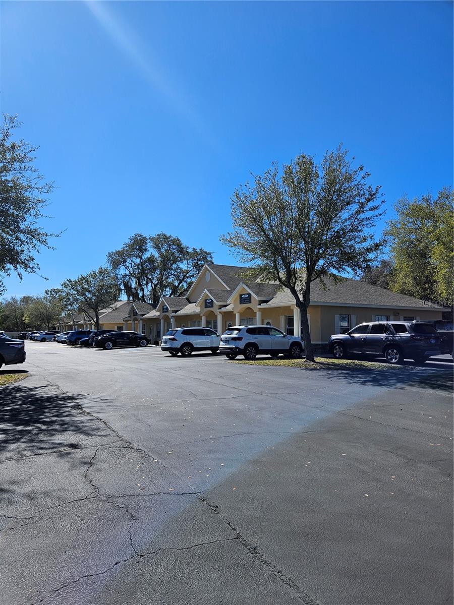 10011 WATER WORKS LN, RIVERVIEW, FL, 33578