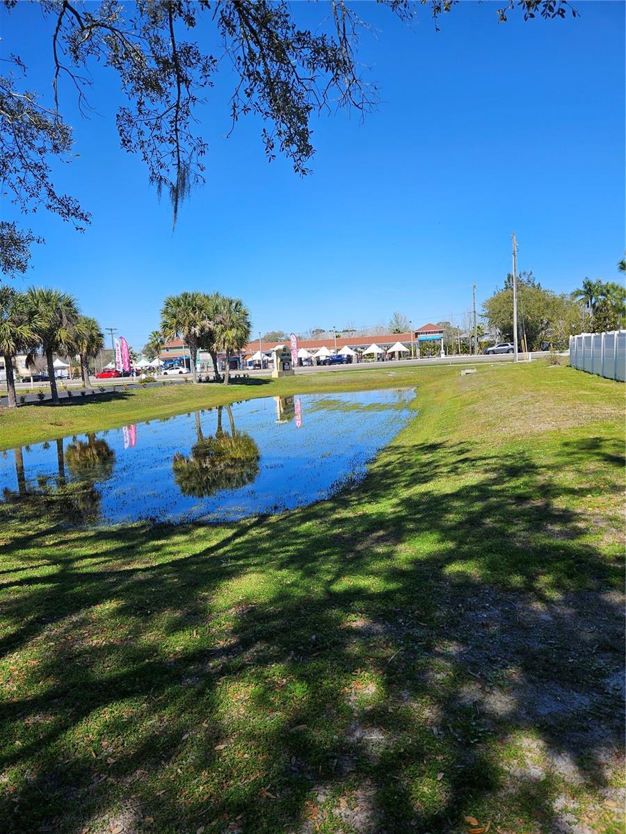 10011 WATER WORKS LN, RIVERVIEW, FL, 33578