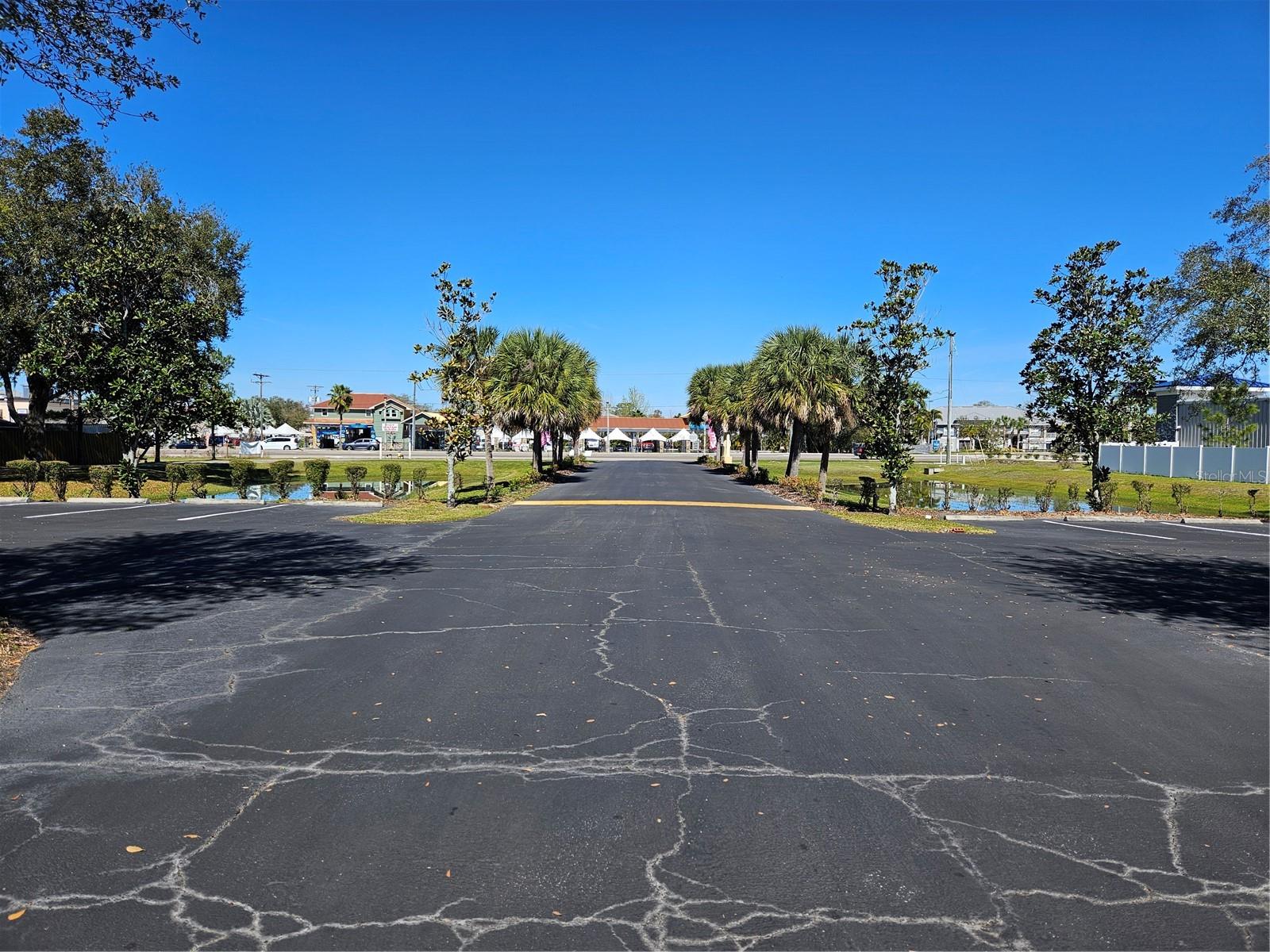10011 WATER WORKS LN, RIVERVIEW, FL, 33578
