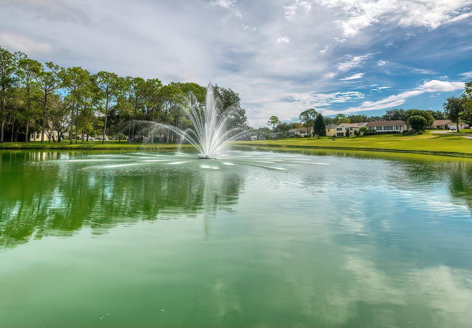 6460 PINE MEADOWS DR, SPRING HILL, FL, 34606