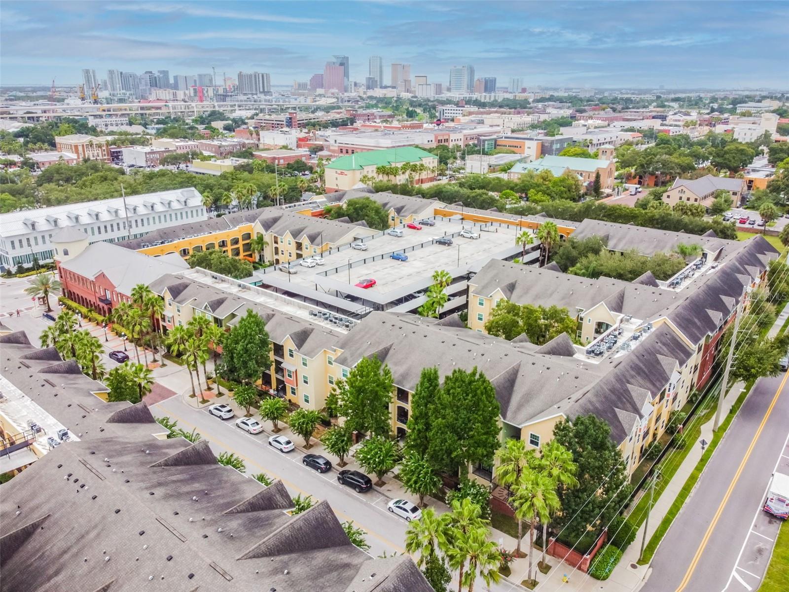 1810 E PALM AVE #6103, TAMPA, FL, 33605