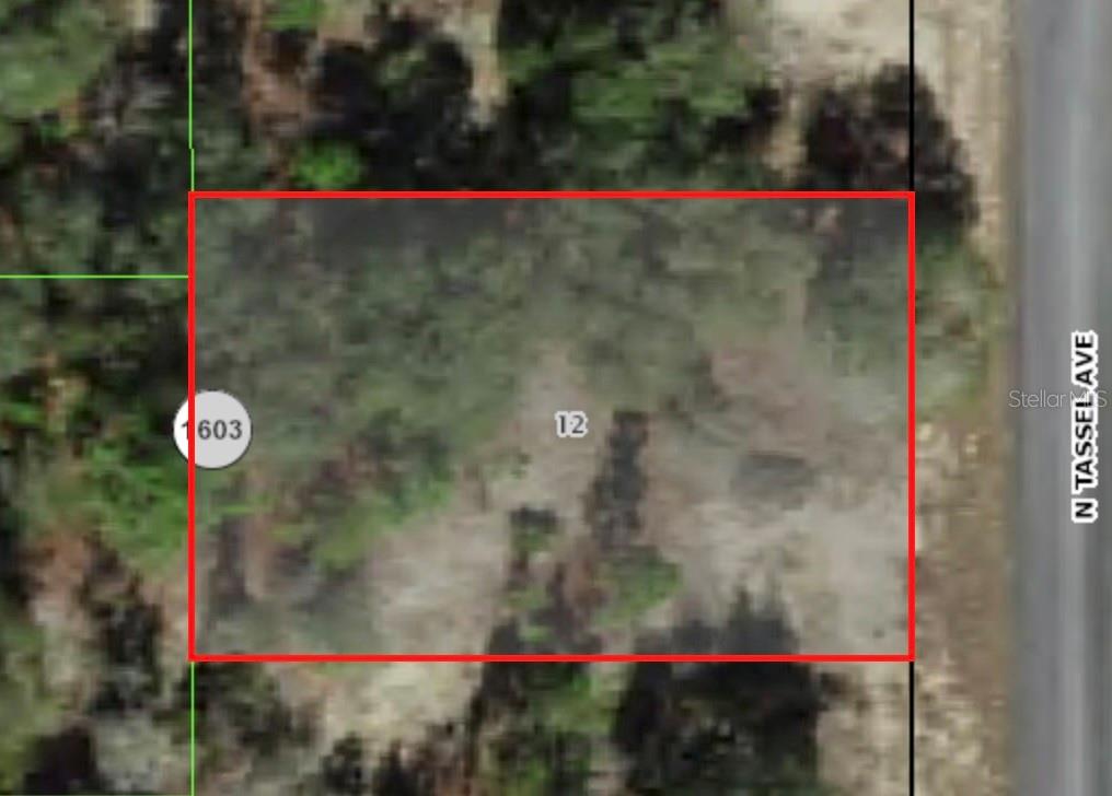 6706 N TASSEL TER, CITRUS SPRINGS, FL, 34433