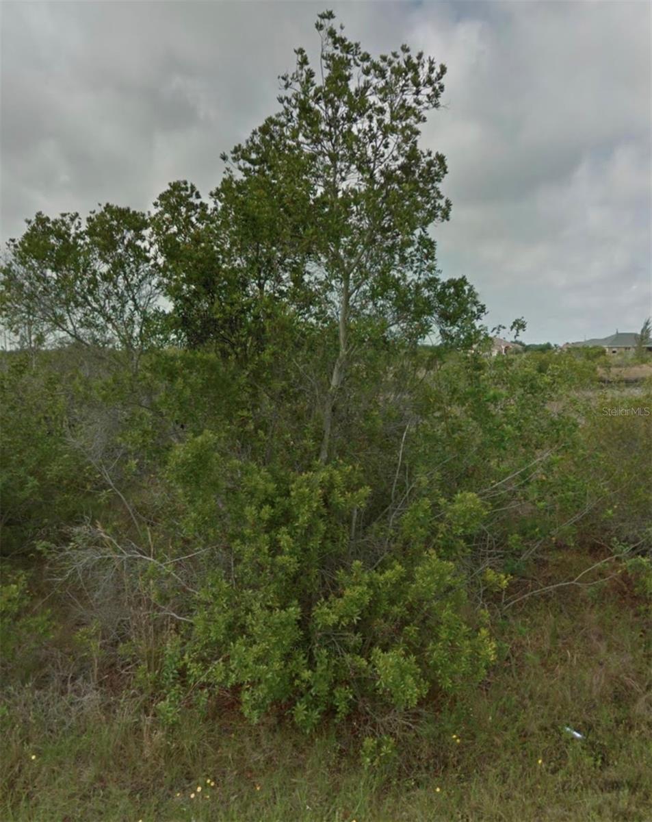 15842 VISCOUNT CIR, PORT CHARLOTTE, FL, 33981