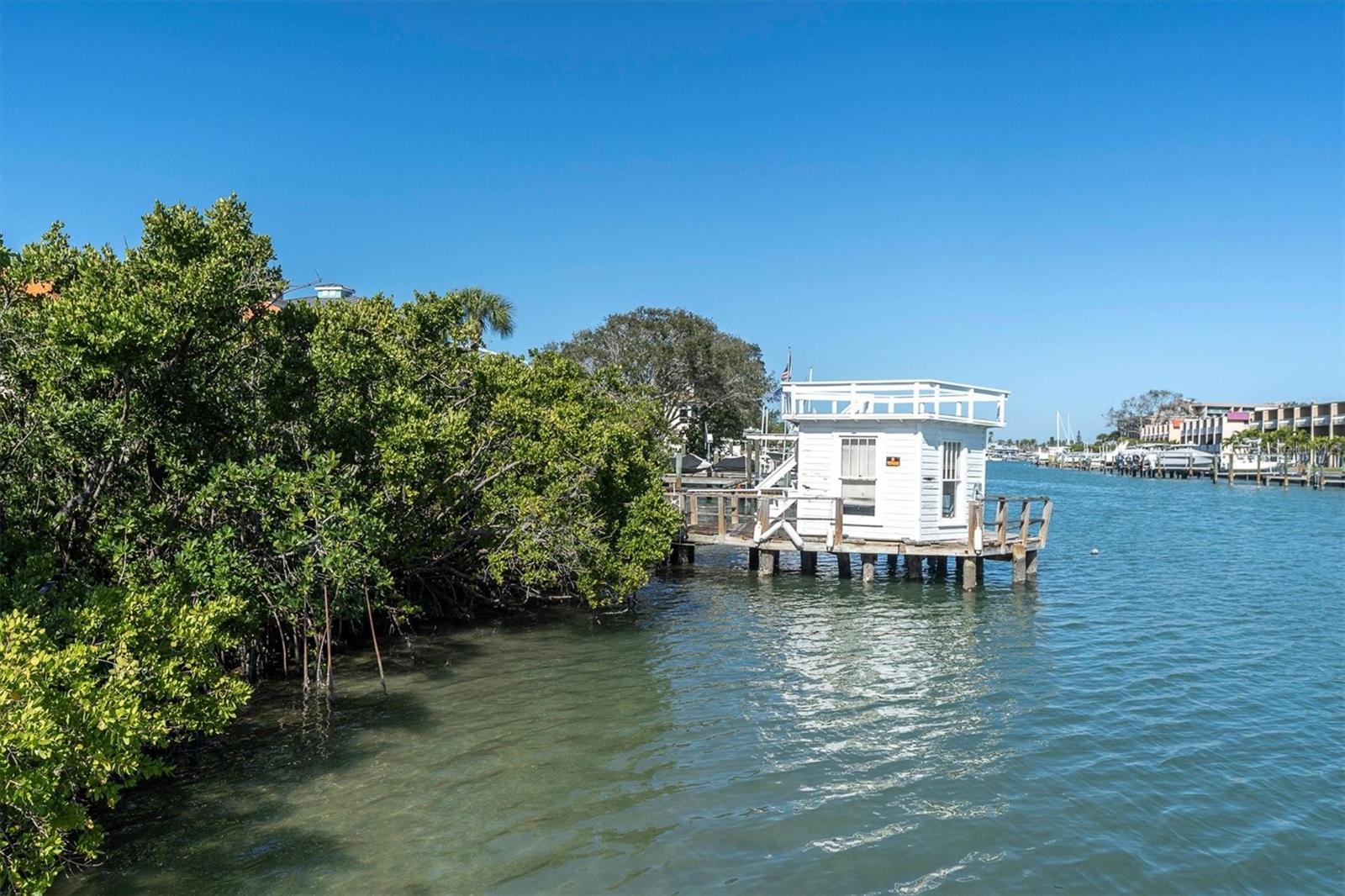 12306 LAGOON LN, TREASURE ISLAND, FL, 33706