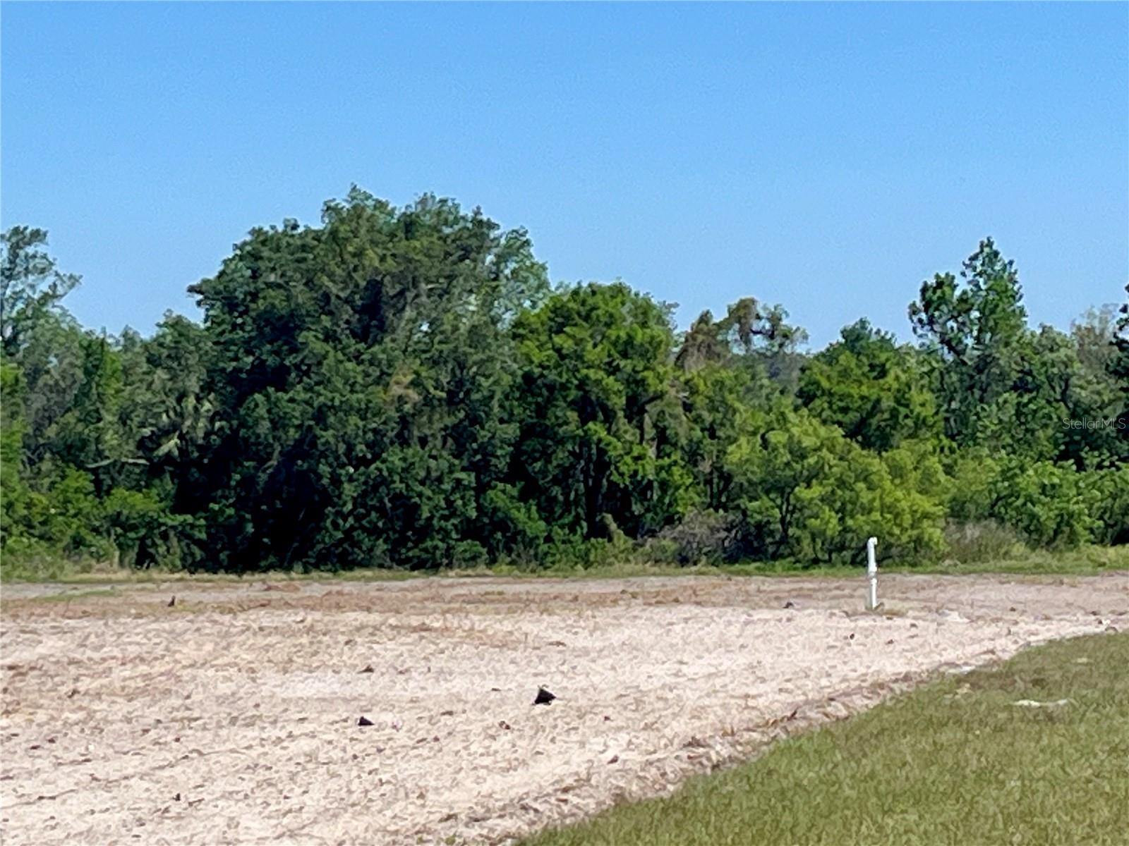 DANSBY RD, WAUCHULA, FL, 33873