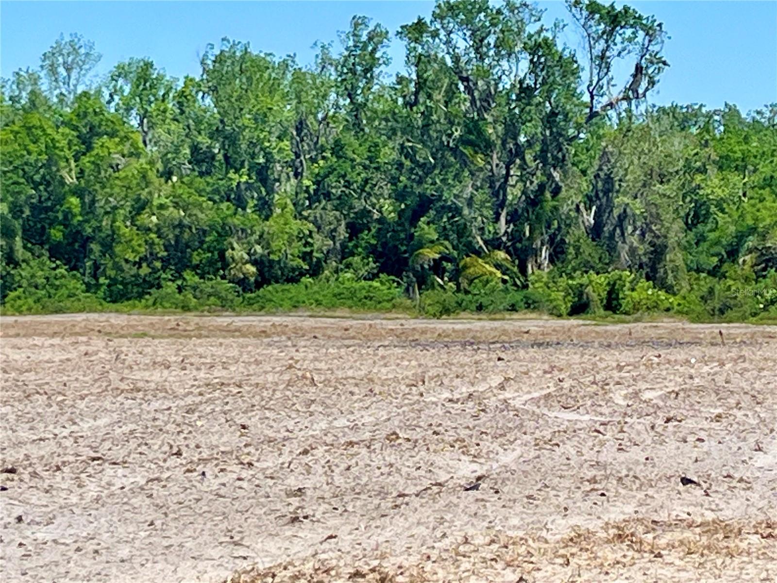DANSBY RD, WAUCHULA, FL, 33873