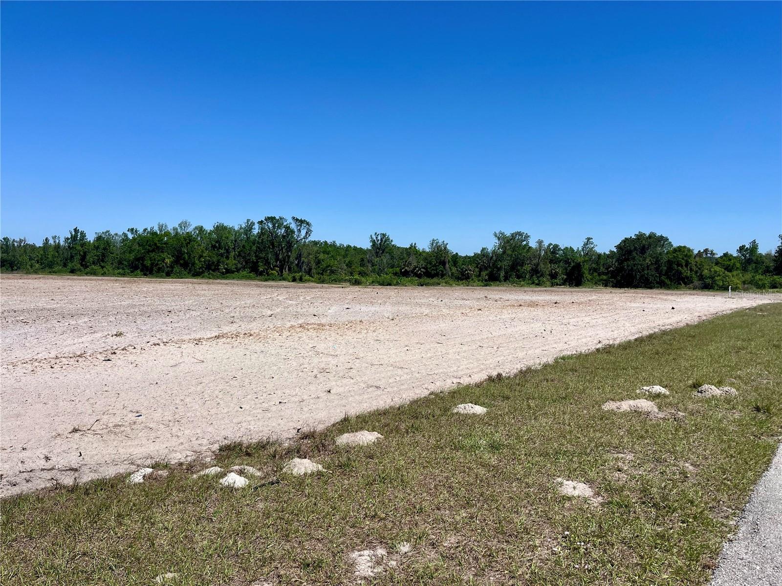 DANSBY RD, WAUCHULA, FL, 33873
