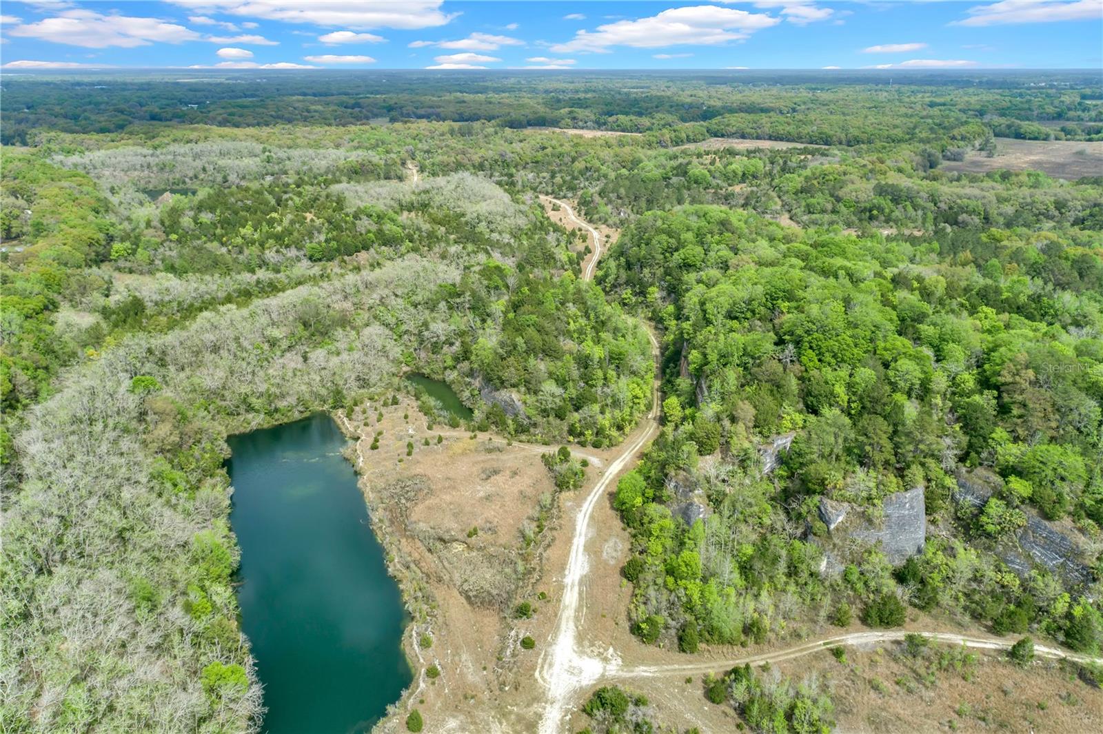 14305 NW GAINESVILLE RD, REDDICK, FL, 32686