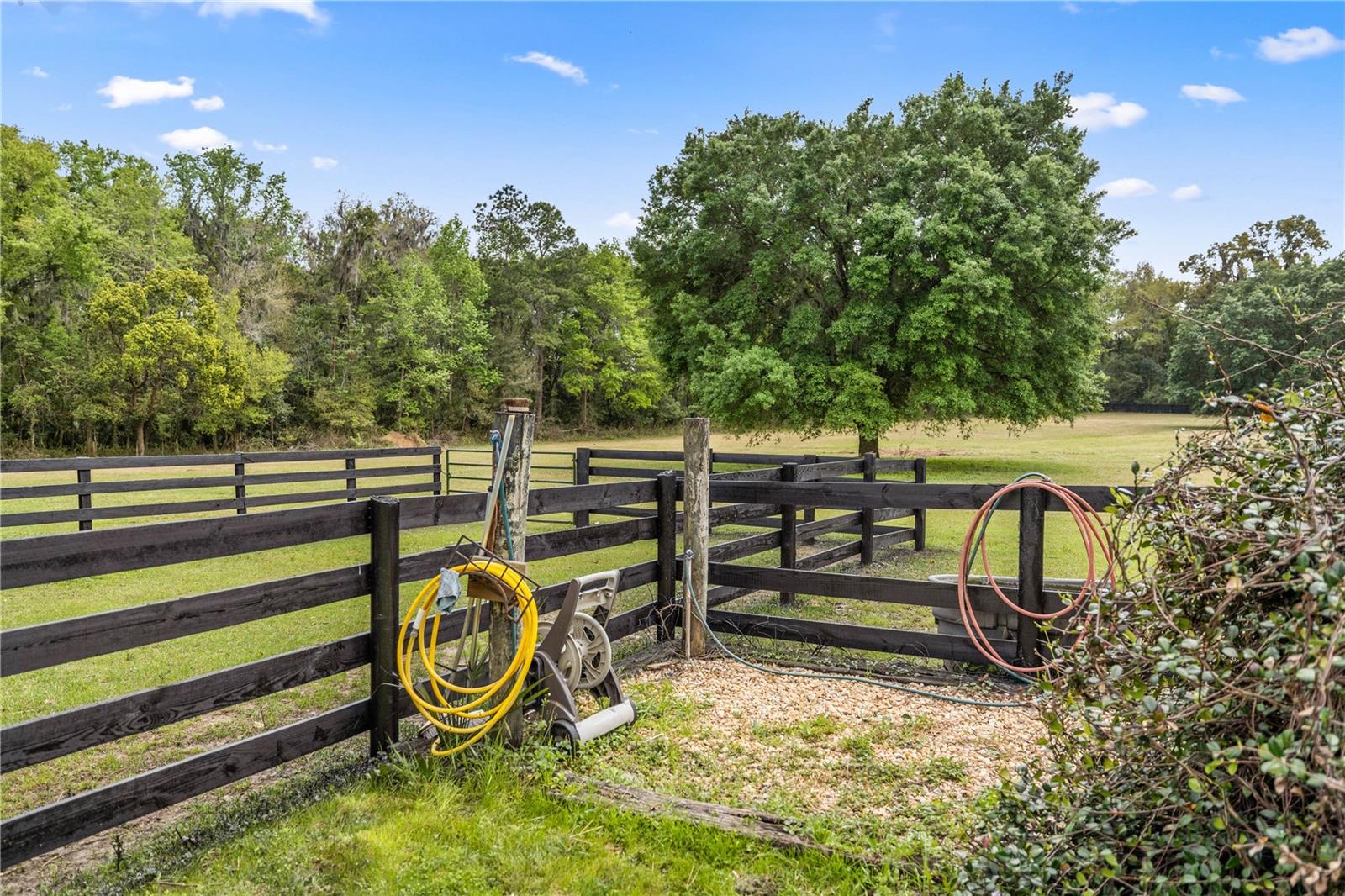 14305 NW GAINESVILLE RD, REDDICK, FL, 32686