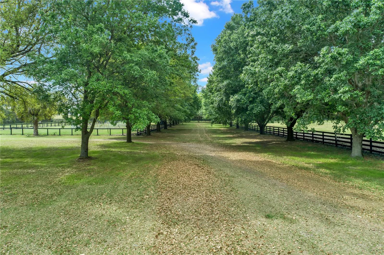 14305 NW GAINESVILLE RD, REDDICK, FL, 32686