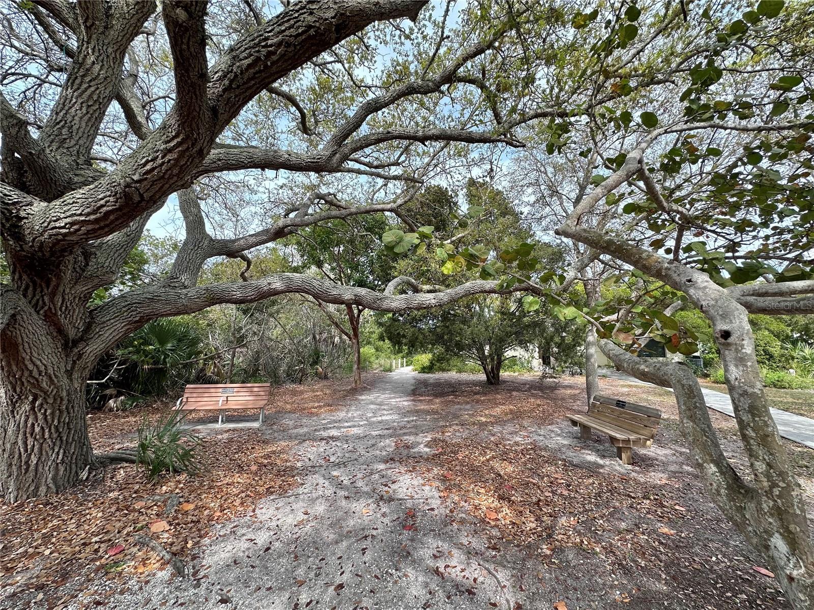 9034 MIDNIGHT PASS RD #6, SARASOTA, FL, 34242