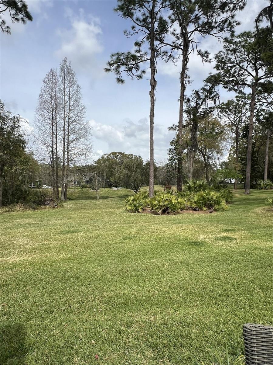 5434 SADDLEBROOK WAY #4, WESLEY CHAPEL, FL, 33543