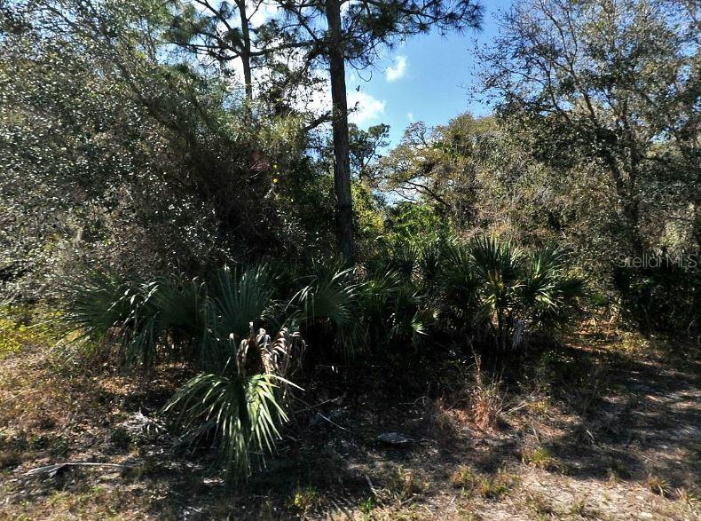 NOME AVE, NORTH PORT, FL, 34288