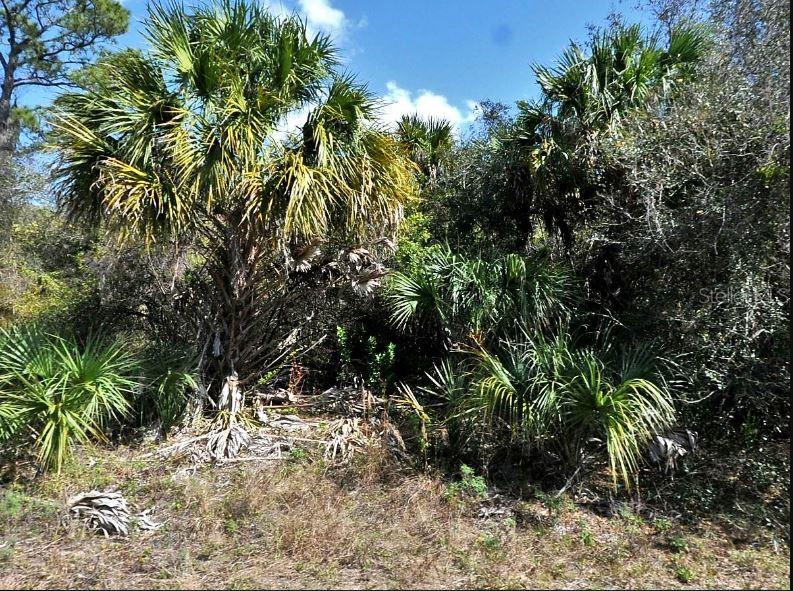 NORTON DR, NORTH PORT, FL, 34288