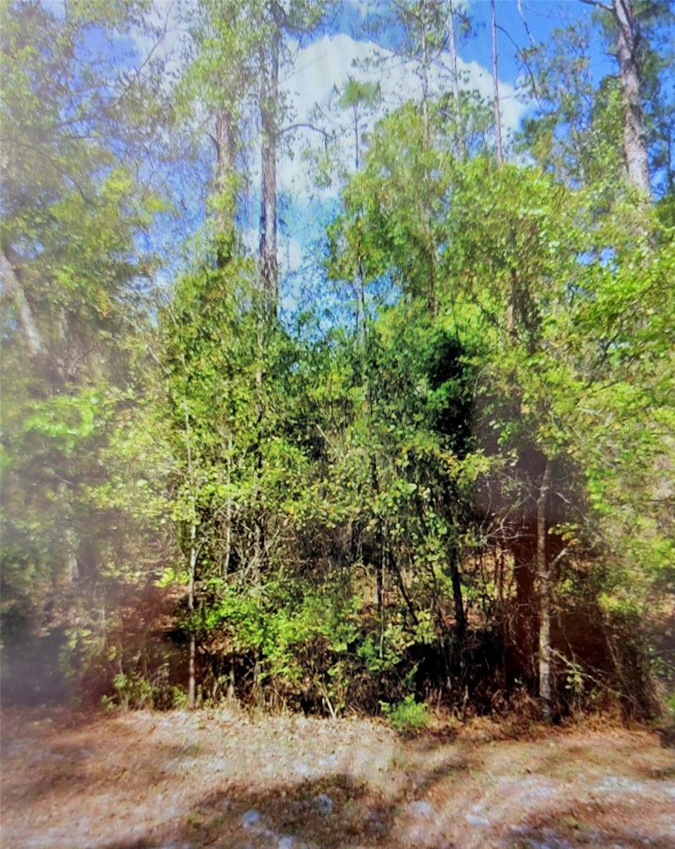 102 SE 1ST ST, GEORGETOWN, FL, 32139