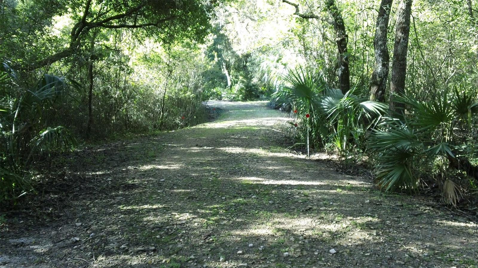 248 BRONCO, ZOLFO SPRINGS, FL, 33890