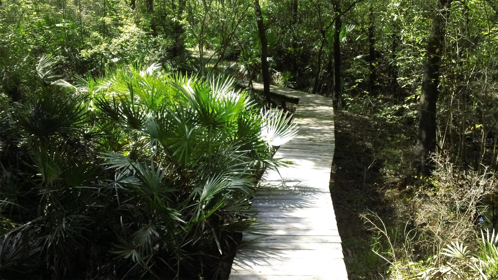 248 BRONCO, ZOLFO SPRINGS, FL, 33890