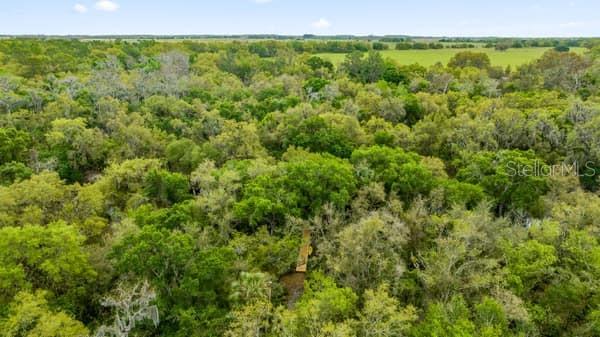 248 BRONCO, ZOLFO SPRINGS, FL, 33890