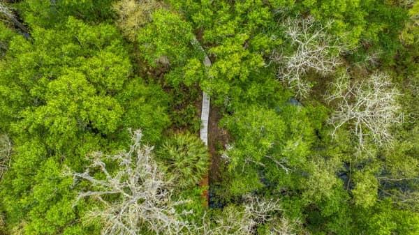 248 BRONCO, ZOLFO SPRINGS, FL, 33890