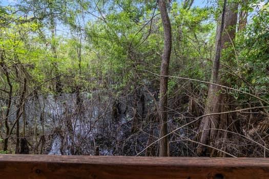 248 BRONCO, ZOLFO SPRINGS, FL, 33890