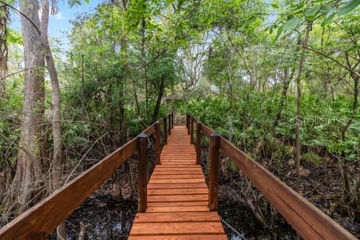 248 BRONCO, ZOLFO SPRINGS, FL, 33890